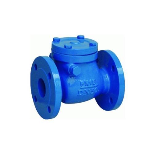 Swing check valve Flange Type
